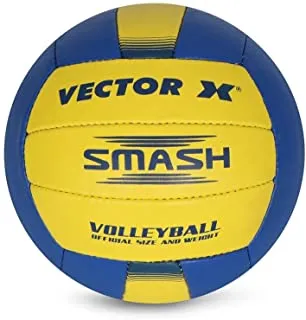 volley ball vector x smash