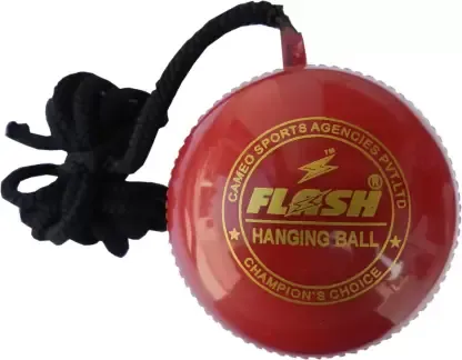 CRICKET HANGING BALL